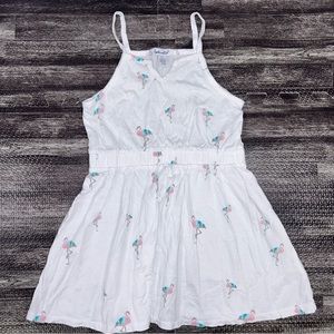 Splendid Girl's Flamingo Print Cotton Modal Dress (Size 5-6)